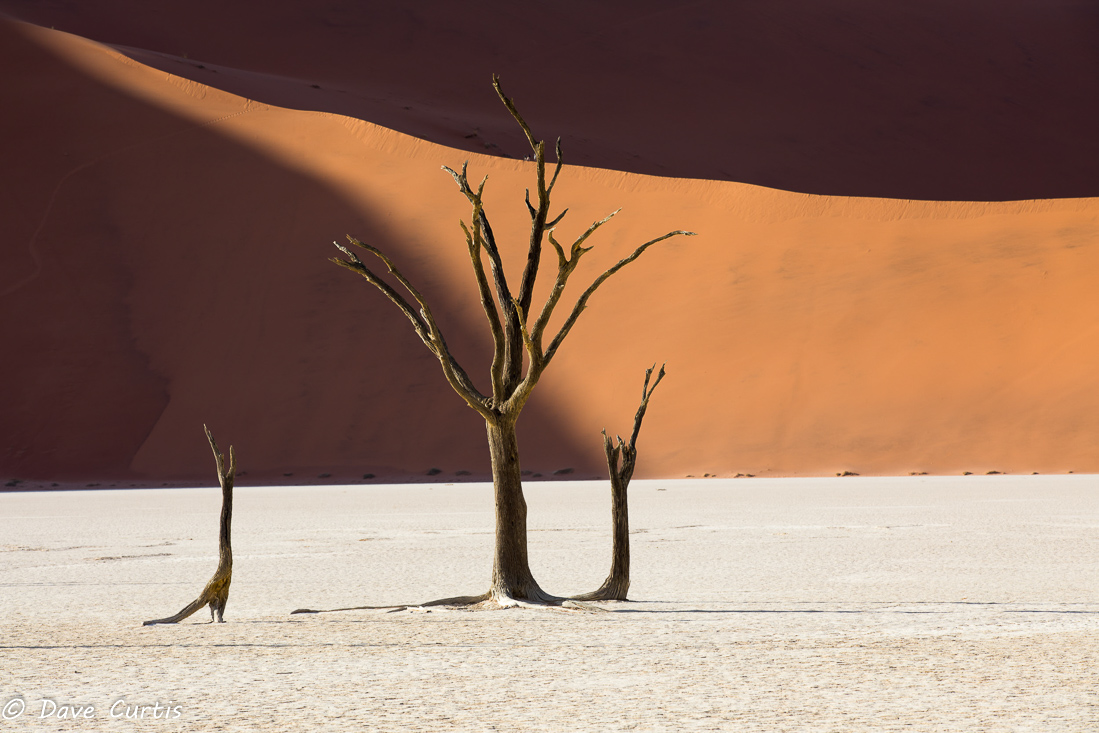 Deadvlei - Namibia
