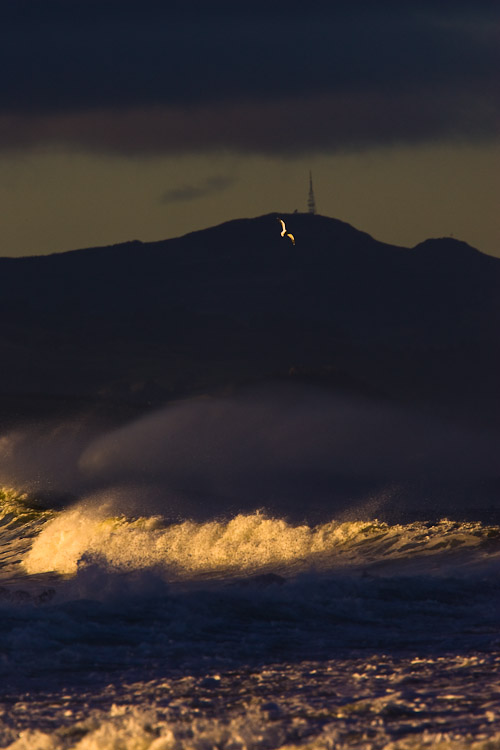 Mt Cargill and Stormy Seas, 2006