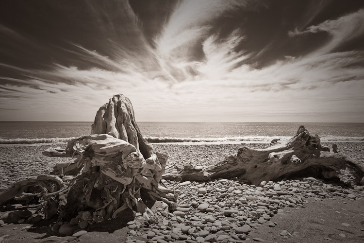 West Coast Beach Driftwood, 2010
